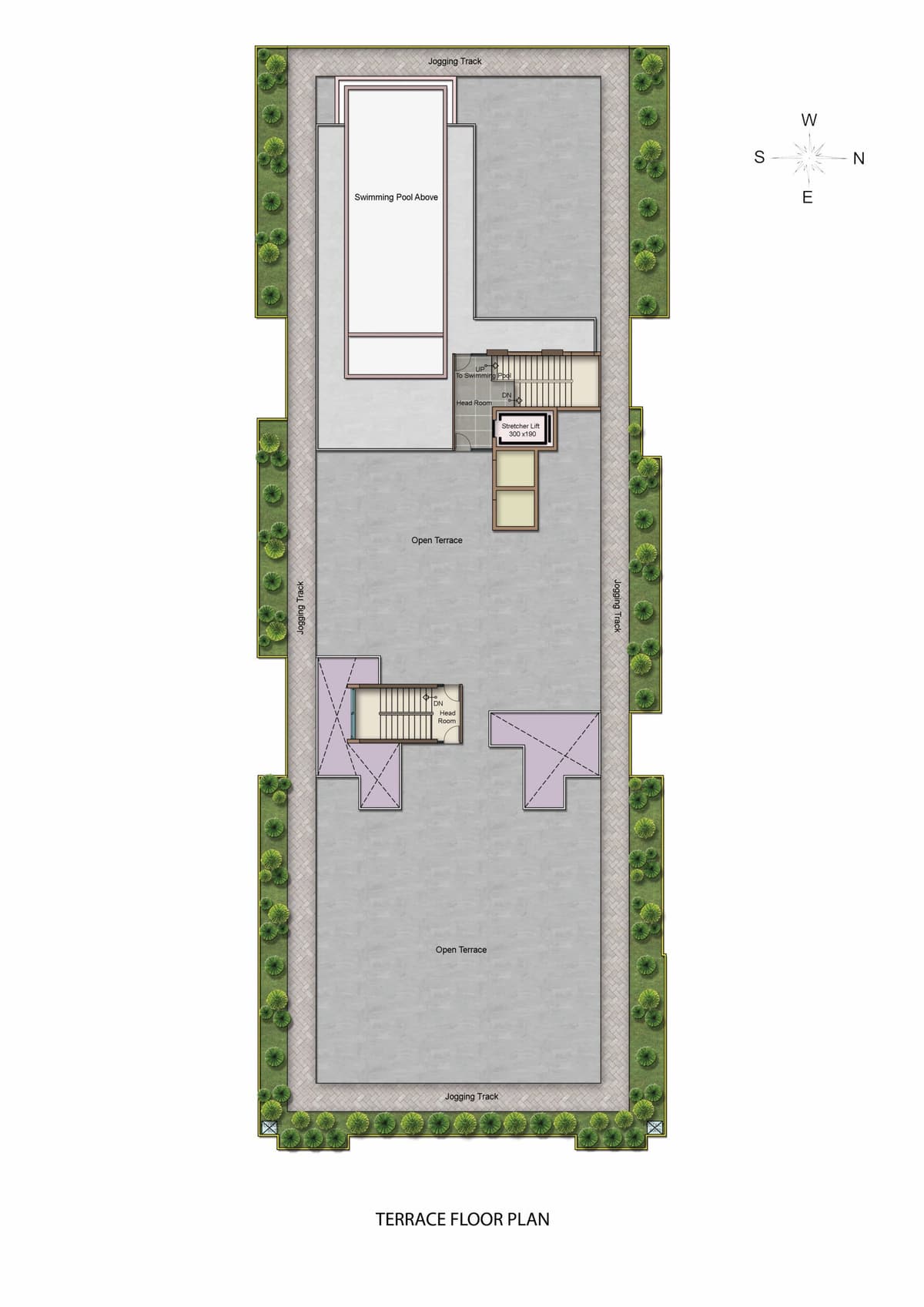 Terrace Floor Plan